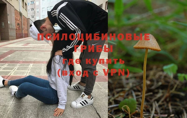 хмурый Бронницы